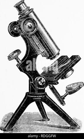 first compound microscope image