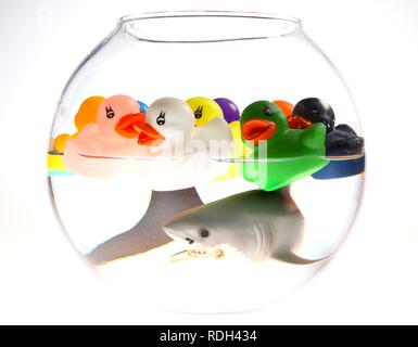 Water toys, many rubber ducks and a shark swimming in a fish bowl, illustration, symbolic image Stock Photo