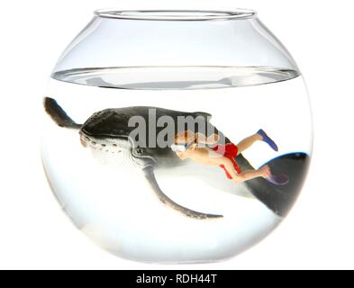 Wind-up toy figure of a boy swimming with a humpback whale in a fish bowl, illustration Stock Photo