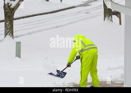 Adult male shoveling snow from driveway with neon yellow overalls on Stock Photo