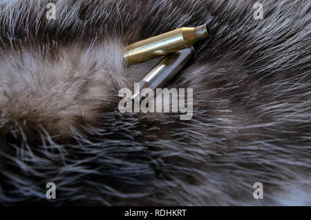 Two spent bullet casings on top of possum fur. Bokeh effect. Stock Photo