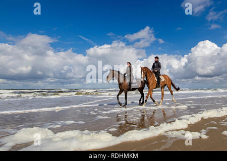 Beach of North Sea. Women riding horses. Groote Keten, The Netherlands. Stock Photo