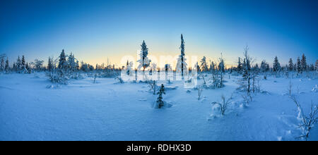 Ski touring in Urho Kekkonen natioal park in Savukoski, Lapland, Finland Stock Photo