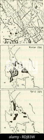 . Eelgrass in Buzzards Bay : distributation, production, and historical changes in abundance. Zostera marina; Seagrasses -- Massachusetts Buzzards Bay (Bay). 78. Please note that these images are extracted from scanned page images that may have been digitally enhanced for readability - coloration and appearance of these illustrations may not perfectly resemble the original work.. Costa, Joseph Edward, 1958-; United States. Environmental Protection Agency; Buzzards Bay Project (Mass. ). Washington, D. C. : United States Environmental Protection Agency Stock Photo
