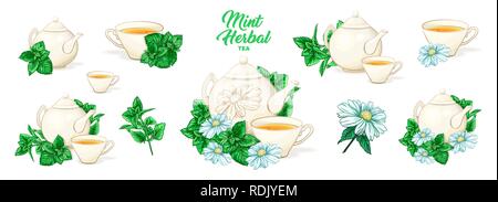 Herbal Tea with Mint in Ceramic Teapot and Tea cup. Clipart Vector Collection. Mint and Green Leaves. Isolated Detailed Herbs Illustration. Marker Hand Drawn Set. Porcelain Service for Restaurant Menu Stock Vector