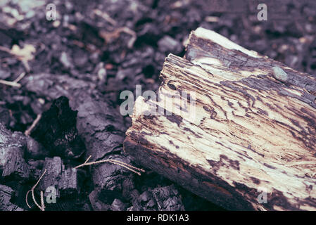 Closeup detail of tree log firewood on burnt hot charcoal remains from a outdoors summer barbecue campfire in the wilderness, with copyspace. Stock Photo