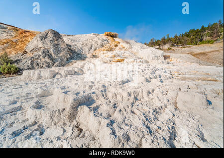 Calcium Carbonate deposits from hot springs geyser on a fine summer morning near Mammoth, Wyoming, USA. Stock Photo