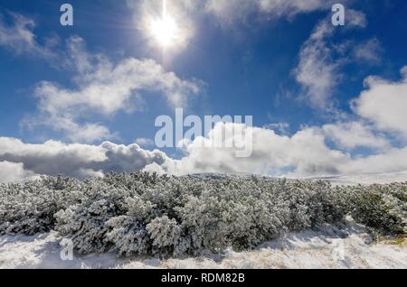 First snow at Karkonosze (Giants Mountains) mountain range. Poland, Lower Silesian province. Stock Photo