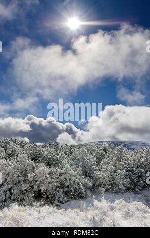 First snow at Karkonosze (Giants Mountains) mountain range. Poland, Lower Silesian province. Stock Photo