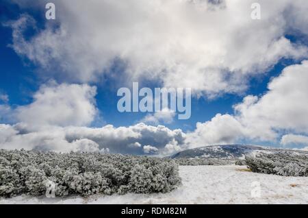 First snow at Karkonosze (Giants Mountains) mountain range. Poland, Lower Silesian province. Stock Photo