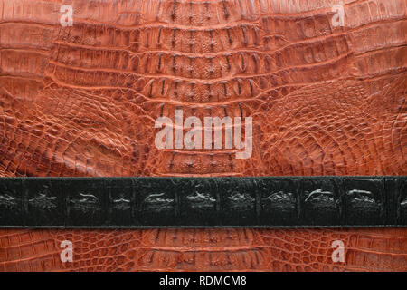 Texture of brown and black crocodile leather. Background. View from above Stock Photo