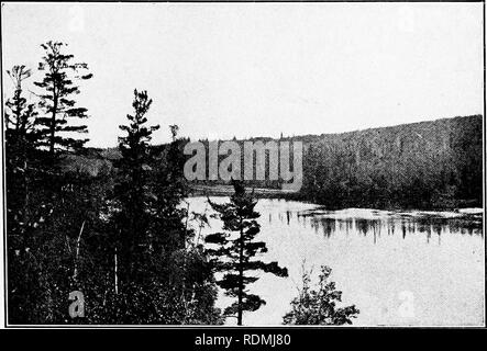 . An ecological survey of Isle Royale, Lake Superior. Animal ecology; Botany; Zoology; Plant ecology. Geological Survey of Michigan. Annual Report for 1908.. FIG. 18. SUMNER LAKE (III, .j), EASTERN END. ^ jÂ»T#&quot; i 1Â».1*J S^ te ,,, H^ j j^S Â» I HHj â 1 j^*.,^ ,. â 1 FIG. 19. WESTERN END OF SUMNER LAKE (III, 5).. Please note that these images are extracted from scanned page images that may have been digitally enhanced for readability - coloration and appearance of these illustrations may not perfectly resemble the original work.. Adams, Charles Christopher, 1873-; Gleason, Henry A. (Henry Stock Photo