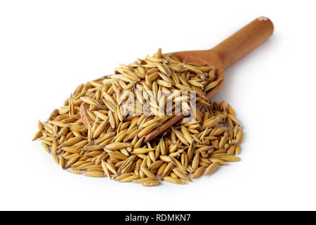 Oat seeds (Avena sativa) also known as the common oat in wooden scoop isolated on white background Stock Photo