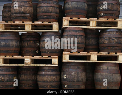 Rows of pallets with staked old grunge vintage dark oak wood barrels of craft beer at warehouse of brewery Stock Photo