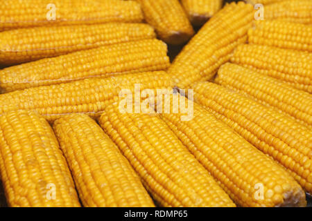 Close up boiling many fresh yellow corncobs in big steam pan, high angle view Stock Photo