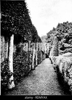 . Gardens for small country houses. Gardens. 138 Gardens for Small Country Houses. quite unequalled. This also must be cut by hand and the surface allowed a little freedom. Fig. 178 shows a hedge of Portugal laurel backing a lily pool in a good piece of rectangular gardening, and Fig. 180 a clever way of using pollarded and clipped limes for greatlj/ heightening a garden wall abutting on a road. For commoner purposes, such as a hedge to a kitchen garden, beech and horn- beam are both excellent. They serve also, especially hornbeam, for training over arbours and covered ways ; growing close and Stock Photo
