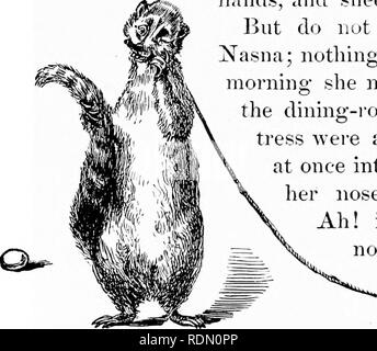 A cat crouching in corner Stock Photo - Alamy