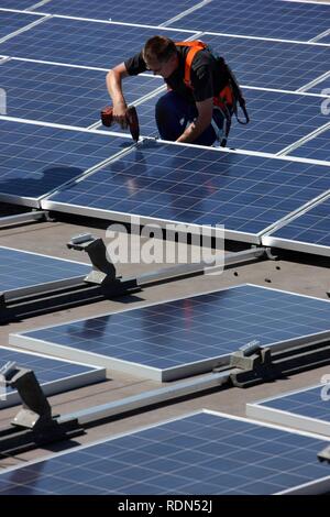 Construction of a large photovoltaic system on several rooftops, 16000 square metres, Gelsenkirchen, North Rhine-Westphalia Stock Photo