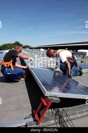 Construction of a large photovoltaic system on several rooftops, 16000 square metres, Gelsenkirchen, North Rhine-Westphalia Stock Photo