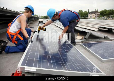 Construction of a large photovoltaic system on several rooftops, 16000 square metres, Gelsenkirchen, North Rhine-Westphalia Stock Photo