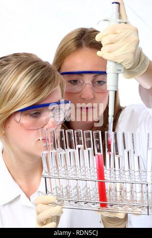 Chemistry laboratory, laboratory technicians at work Stock Photo