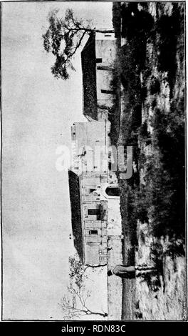 . Wild Spain (Espan?a agreste): records of sport with rifle, rod, and gun; natural history and exploration. Natural history; Hunting; Game and game-birds. . Please note that these images are extracted from scanned page images that may have been digitally enhanced for readability - coloration and appearance of these illustrations may not perfectly resemble the original work.. Chapman, Abel, 1851-1929; Buck, Walter John. London, Gurney and Jackson