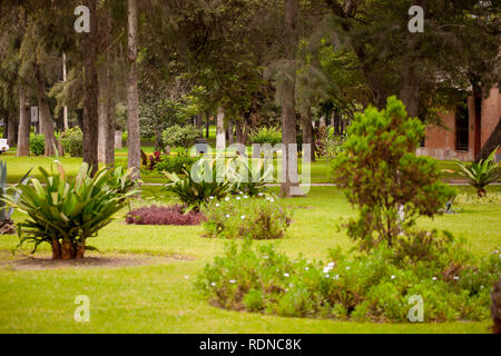 Green park ath the middle of Lima in Peru Stock Photo