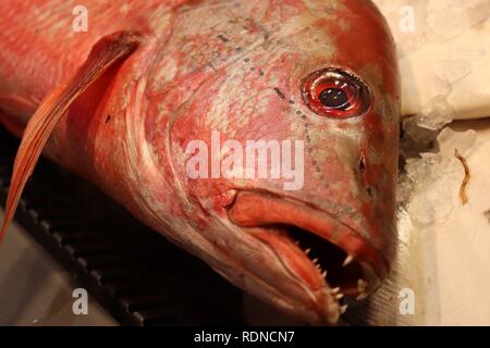 Fishmongers Market Stock Photo