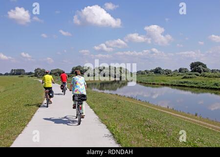 Cyclists on the Elbe river cycle path, near Stiepelse, Landkreis Lueneburg district, Lower Saxony, Northern Germany Stock Photo