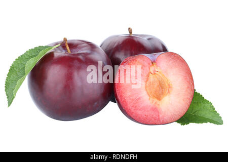Plums plum blue fresh fruits fruit autumn fall isolated on a white background Stock Photo