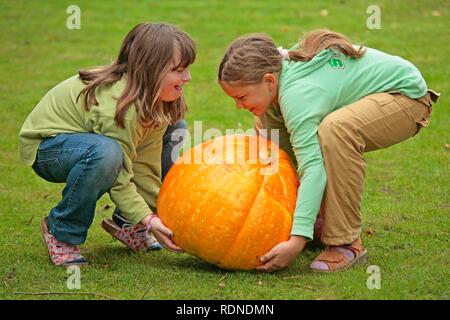 Two little girls trying to lift a very large pumpkin Stock Photo