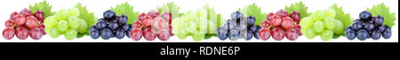 Grapes in a row banner border grape red fruits fruit isolated on a white background Stock Photo
