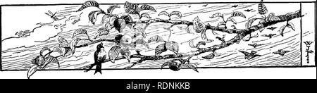 . Four feet, two feet, and no feet; or, Furry and feathery pets, and how they live. Animal behavior. HOW LENA FED THE LAMB. 151 " We are going a-riding," three of the little ones answered in chorus. " A-widing," echoed httle Maud, who sat upon the tail. Alas! Beppo heard my voice, and not one step further would he go. I gave Susie a large yellow carrot; she held this on a stick in front of his nose, and then he moved on. He always walked so like a snail that I feared he was infirm. But one day, when a pet mule was brought in from the ranch, I found I was mistaken. Beppo at  Stock Photo