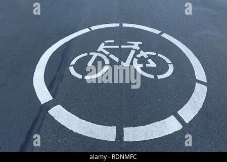 Marked bicycle path on the road, Münster, Germany Stock Photo