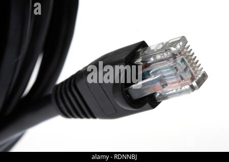 LAN cable, network cable, for connecting computers to a network Stock Photo