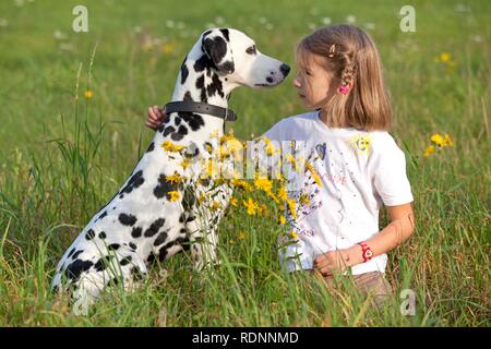 Little girl with Dalmatian in a meadow Stock Photo