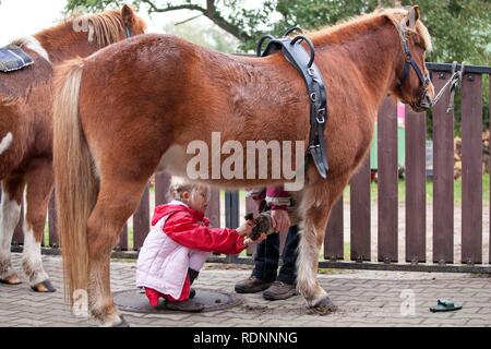 Young girl cleaning the hooves of a pony Stock Photo