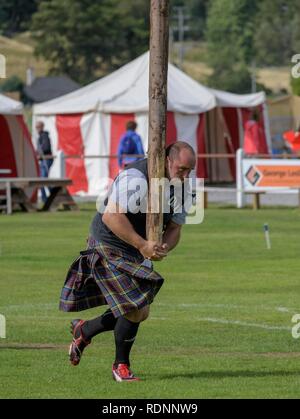 Tossing the caber, Highland Games, Newtonmore, Scotland, United Kingdom Stock Photo