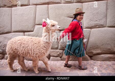 Local woman with an alpaca at Calle Hatun Rumiyok, Cuzco, Cusco, Peru, South America Stock Photo