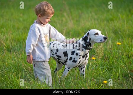 Little boy with Dalmatian in a meadow Stock Photo