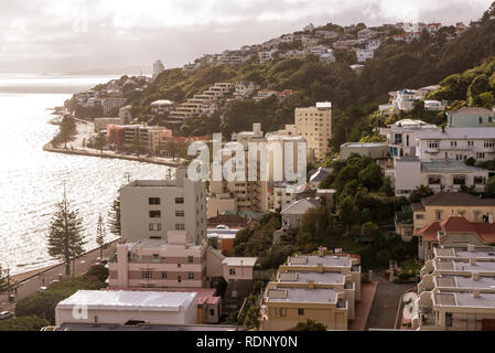 View of the Mount Victoria neighborhood in Wellington on the North Island of New Zealand. Stock Photo