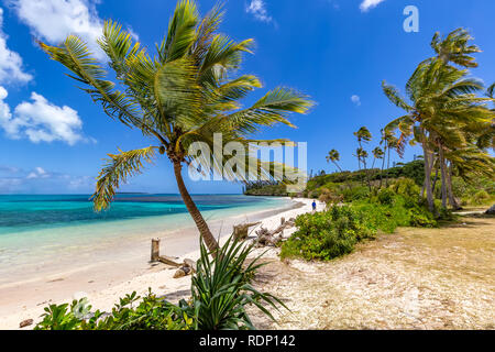 View of a beach with palm trees, beautiful turquoise waters, and a tourist in the distance on the Isle of Pines, New Caledonia. Stock Photo