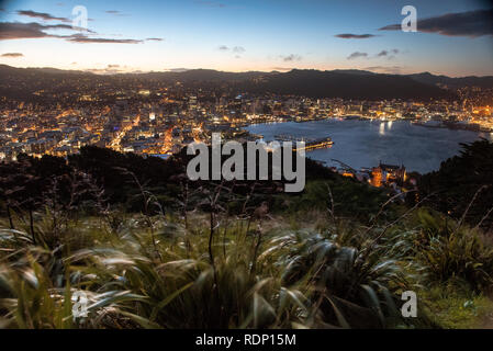 View of central Wellington, New Zealand, taken from the Mount Victoria Overlook. Stock Photo