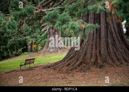 Dusk scene in the Queenstown Gardens park in Queenstown on the South Island of New Zealand. Stock Photo