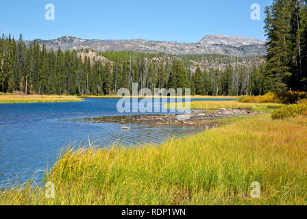 MT00262-00...MONTANA - Clark Fork of the Yellowstone River from the trail to Kersey Lake in the Shoshone National Forest. Stock Photo
