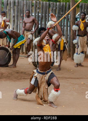 Traditional Swazi dancing  display by the troupe at Mantenga Cultural Village, Ezulwini Valley, eSwatini formerly known as Swaziland Stock Photo