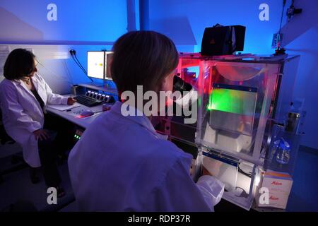 Biotechnology, fluorescence microscope, a special version of a light microscope that can visualise fluorescent labelled Stock Photo
