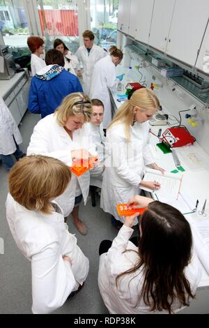 Medical students, internship group in a laboratory, the internship participants are assessing their samples, Centre for Medical Stock Photo