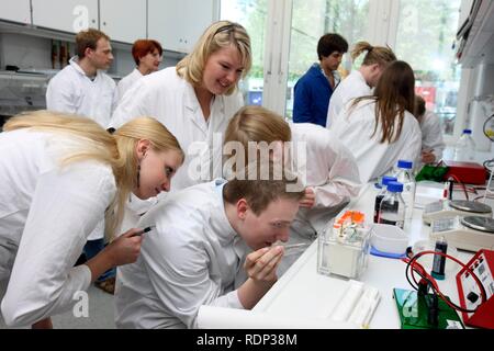 Medical students, internship group in a laboratory, the internship participants are assessing the loading of a gel in a vertical Stock Photo