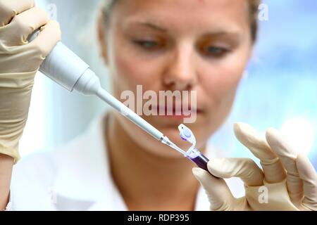Biotechnology laboratory, a scientist is pipetting a blue-coloured DNA-solution, which serves as a marker, Centre for Medical Stock Photo